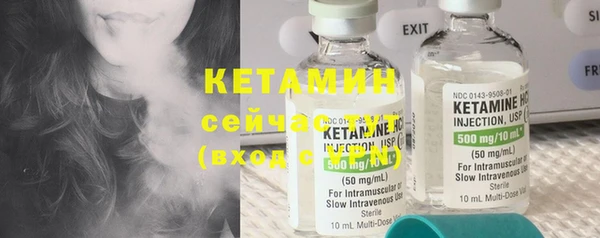 спиды Пересвет