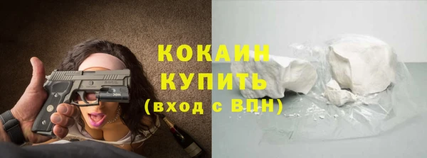 спиды Пересвет