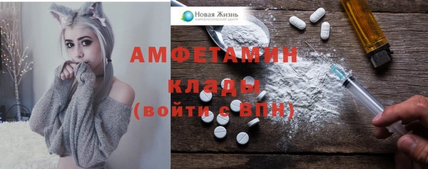 спиды Пересвет