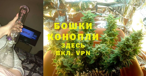 спиды Пересвет