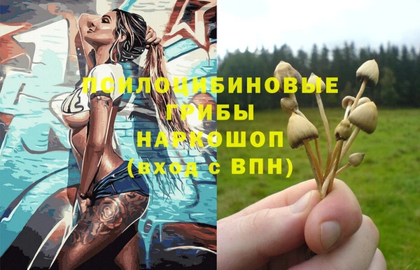стаф Абдулино