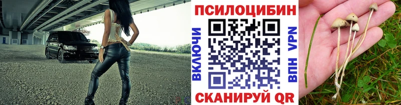 Псилоцибиновые грибы Cubensis  Фурманов 