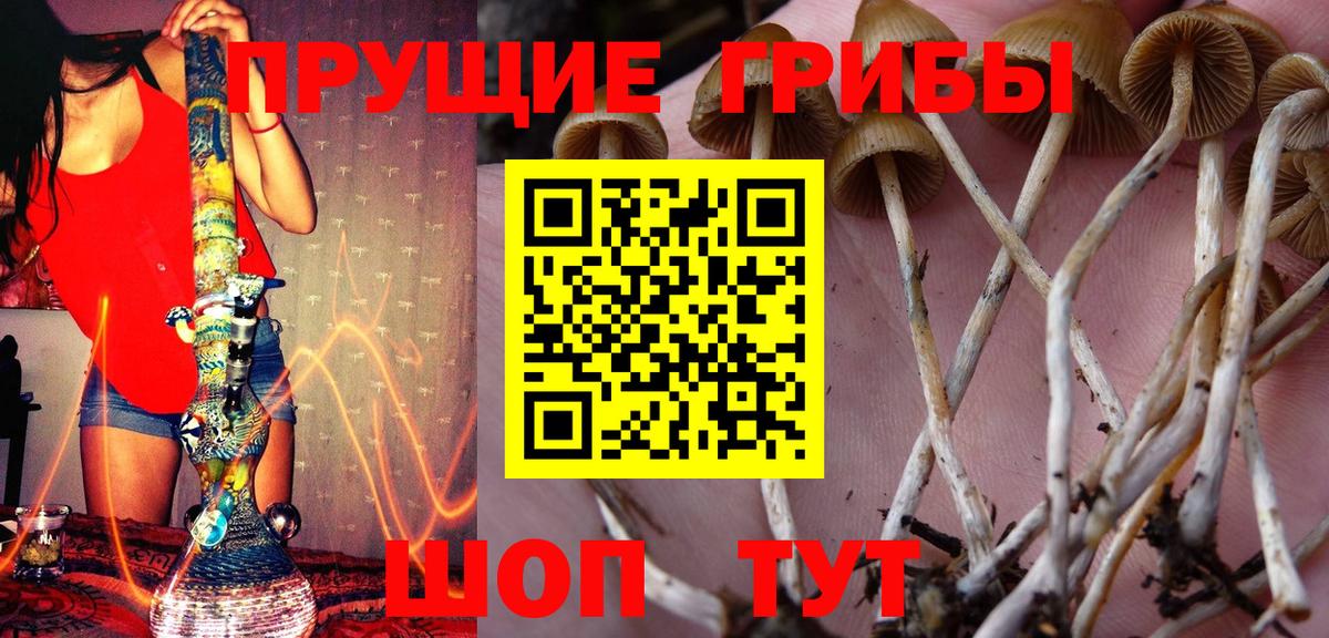 Псилоцибиновые грибы Cubensis  Галлюциногенные грибы Cubensis  Вход с VPN  Фурманов 