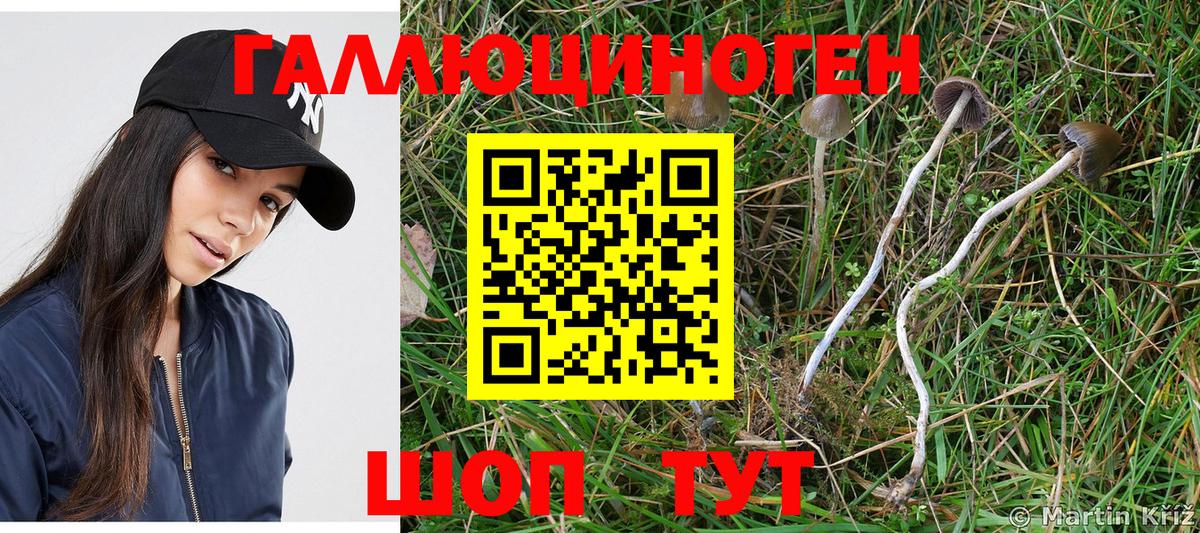 Псилоцибиновые грибы MAGIC MUSHROOMS Фурманов